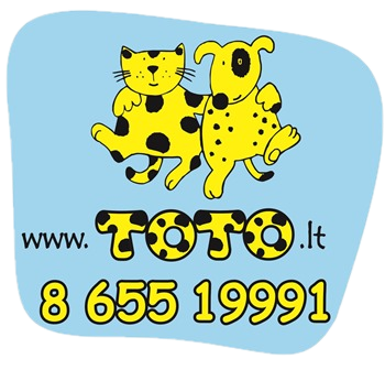 toto transparent